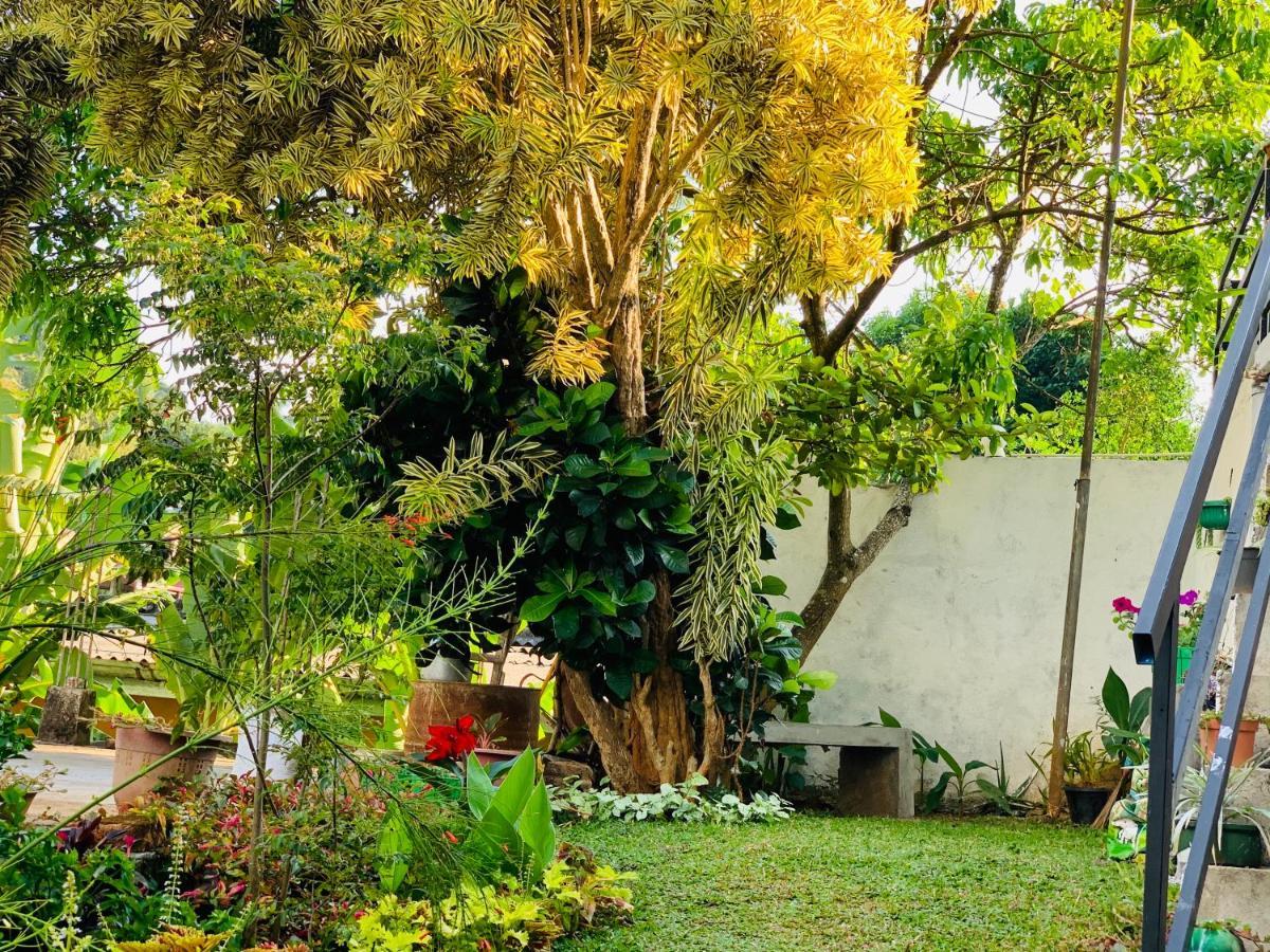 Heaven Breeze Hotel Kandy Exterior photo
